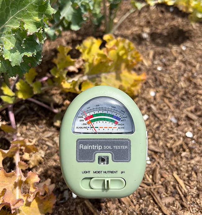 a reviewer photo of the moisture meter in a a garden bed outside 