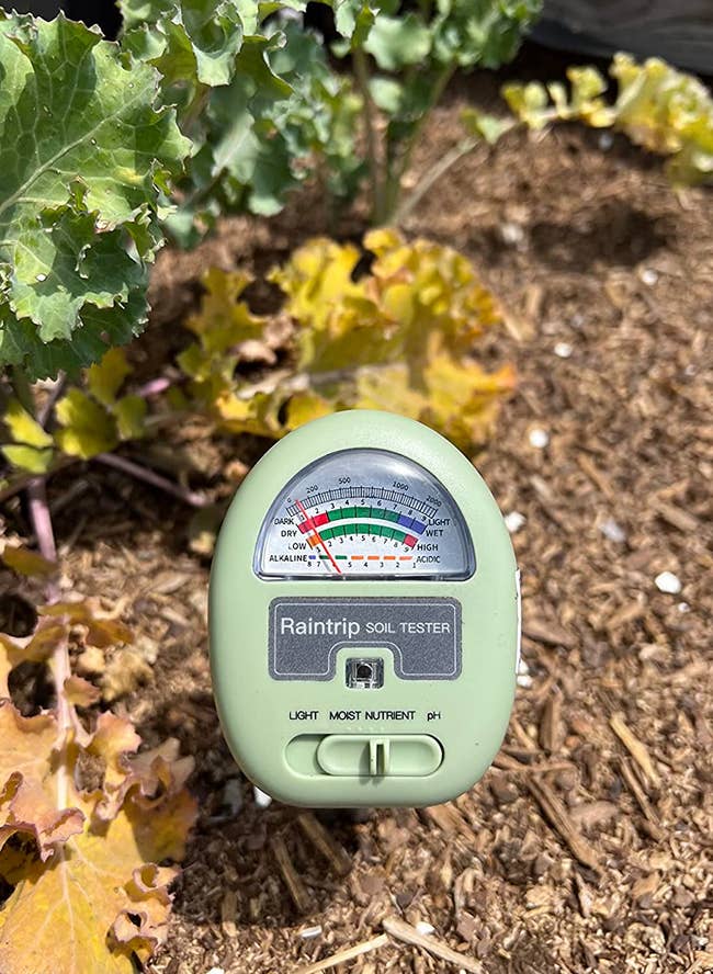 a reviewer photo of the moisture meter in a a garden bed outside 