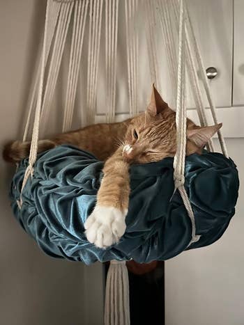 A ginger cat lounges in a hanging macrame cat bed