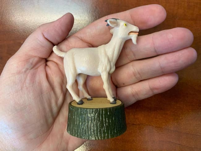image of the mini goat in the palm of a reviewer's hand