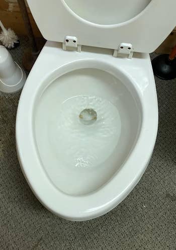 reviewers clean toilet after scrubbing with pumice stone
