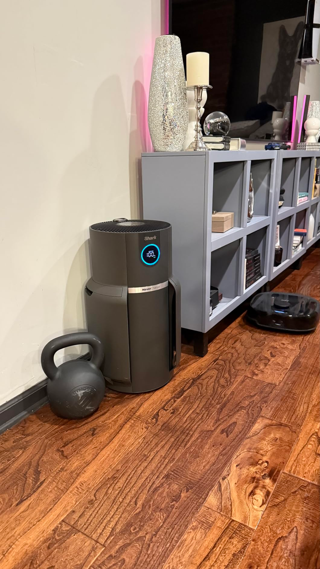 Modern location  interior with a robotic vacuum connected  a woody  floor. Nearby are a vibrant Bluetooth speaker, decorative shelves, and a kettlebell