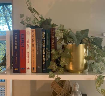 Books on a shelf with ivy and a gold planter. Titles include