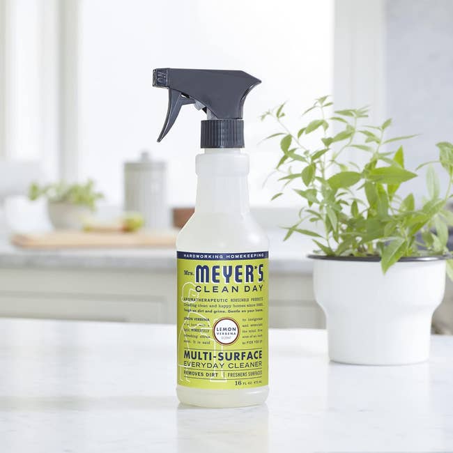 Mrs. Meyer’s Clean Day Multi-Surface Everyday Cleaner bottle with lemon verbena scent, placed on a kitchen counter next to a potted herb plant