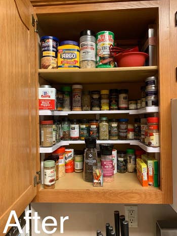 RevieweKitchen cabinet organized with various spices and dry goods, labeled 