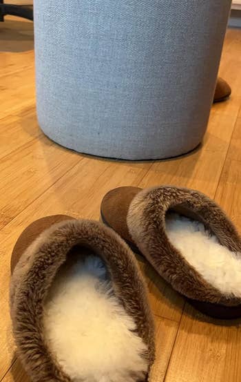 reviewer shows the insoles in their house slippers