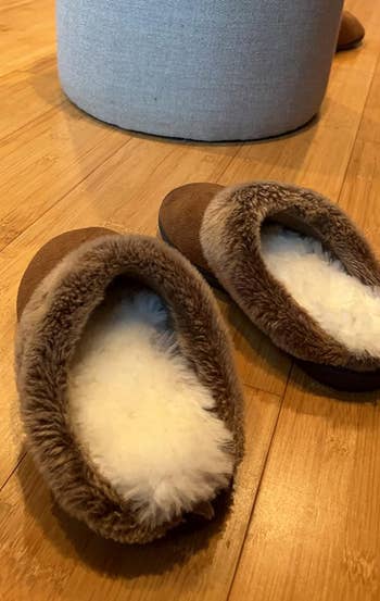 reviewer shows the insoles in their house slippers