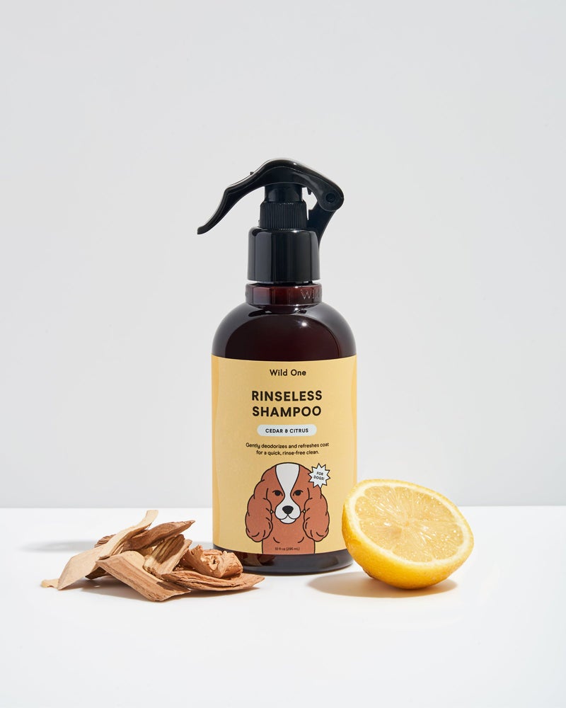 the rinsless shampoo bottle