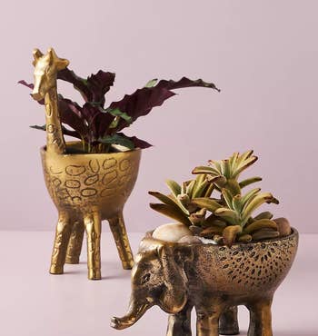 the giraffe and elephant planters holding small plants