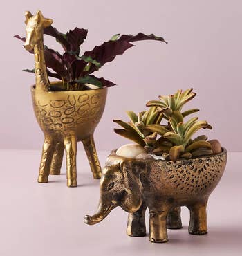 the giraffe and elephant planters holding small plants