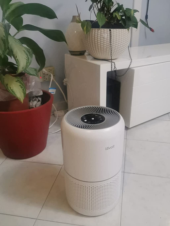 Reviewer image of white air purifier with touchscreen settings on top on a white tile floor in front of house plants