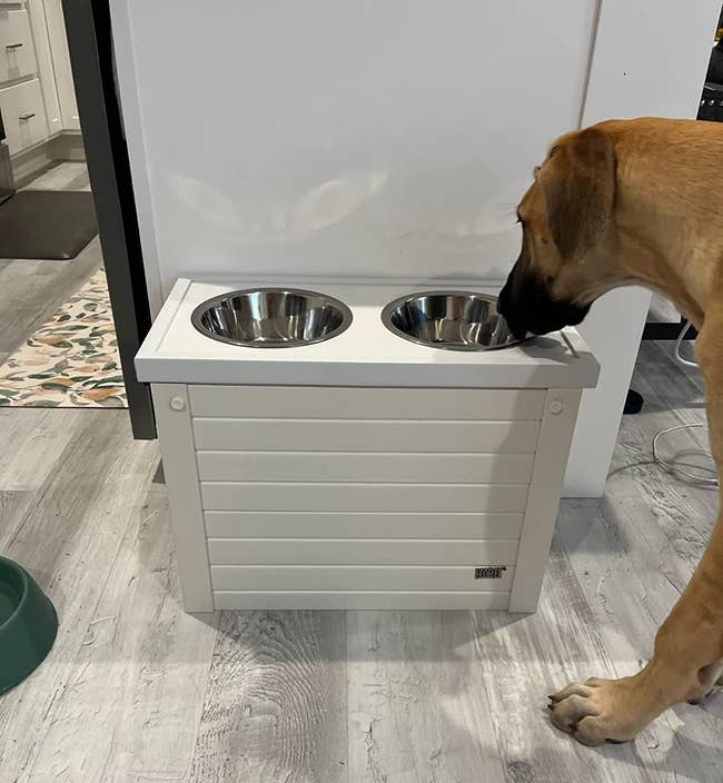 a reviewer's dog licks the bowls