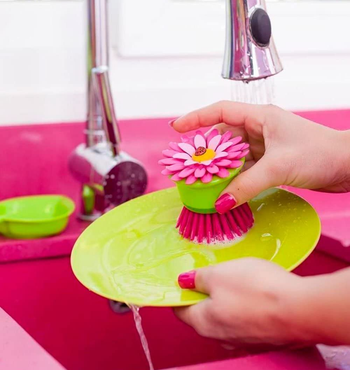 a model cleaning dishes with the brush