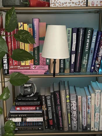 Bookshelf with assorted novels, a tiny lamp, a potted plant, and decorative items