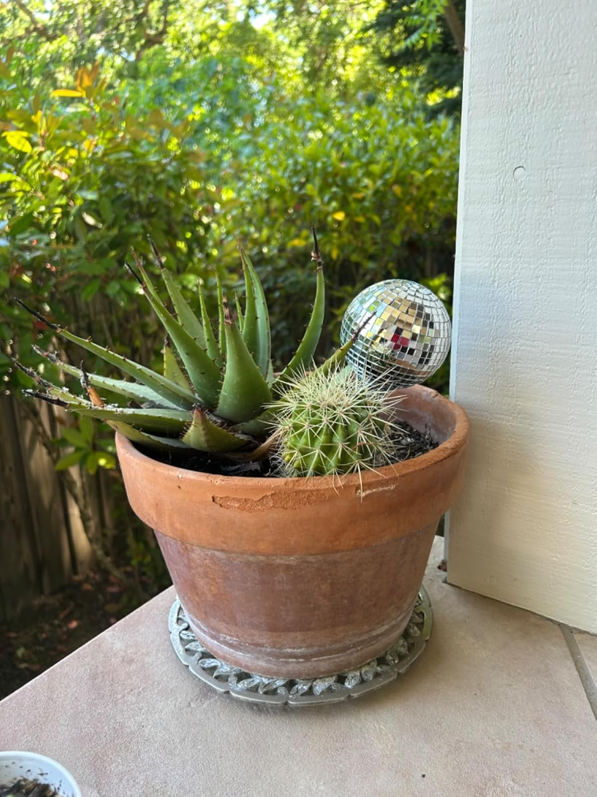 Potted cactus and aloe with a small disco ball, placed on a patio