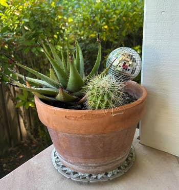 Potted cactus and aloe with a small disco ball, placed on a patio