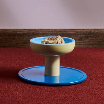Modern pedestal feline  vessel  with a minimalist design, showcasing favored  nutrient  connected  a stylish basal  suitable for enhancing location  decor