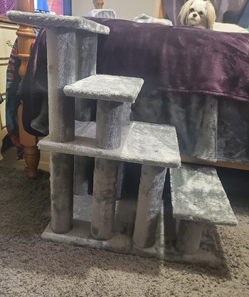 Reviewer image of side view of product in gray with four steps and dog laying on bed next to it
