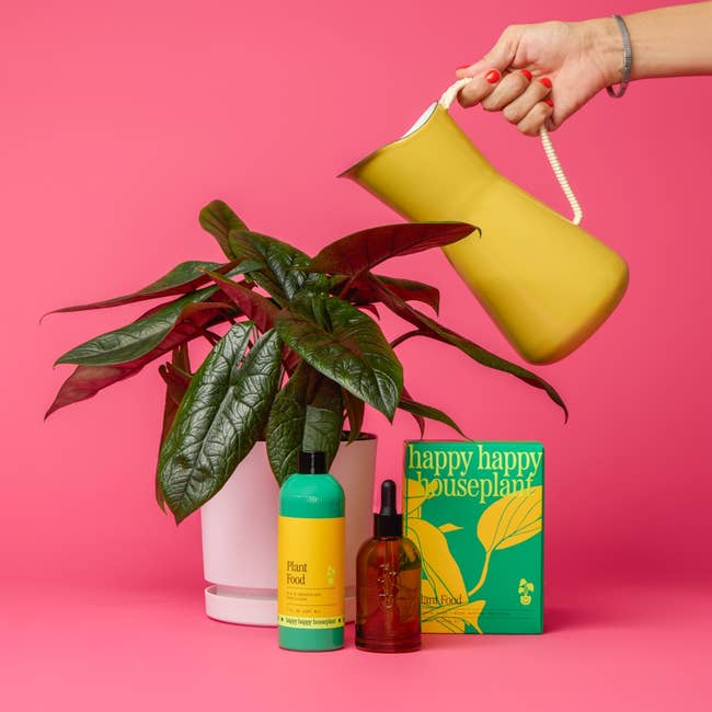 37 Home Items That’ll Make Your Guests Think, “Ooooh, This Is Nice”