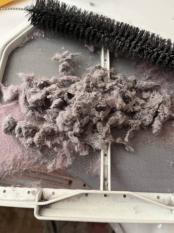 reviewer photo of a bunch of lint the brush pulled out of their dryer
