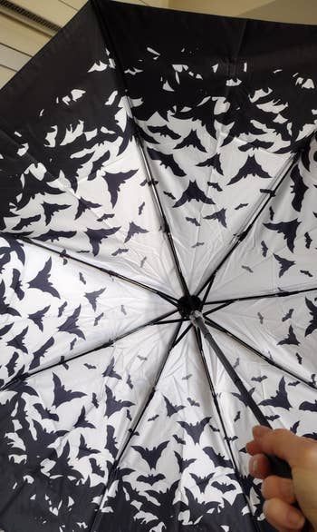 Person holding an umbrella with a pattern of bats, viewed from underneath