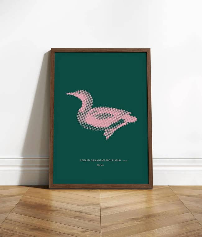 Framed creation people featuring a stylized vertebrate plan labeled