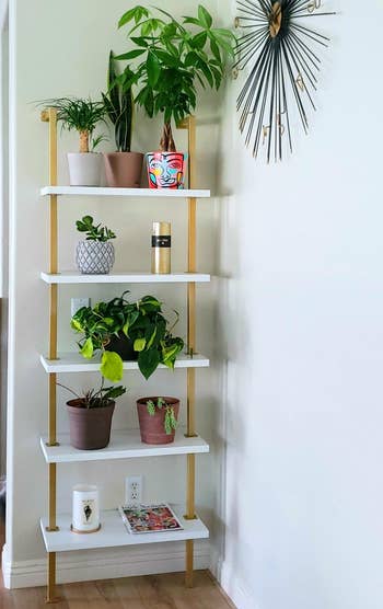 reviewer photo of the white and gold shelves holding plants and decorative items