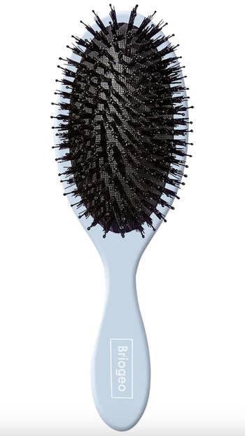 A Biogeo hairbrush with a blue handle and black bristles