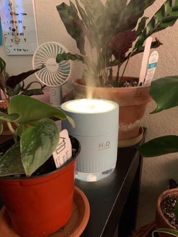reviewer photo of the humidifier lit up, emitting steam, amongst plants