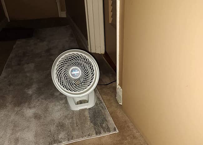 The white fan sitting on a reviewer's floor
