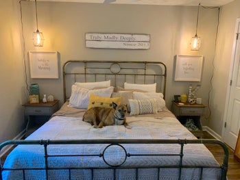 bed in another reviewer's home with a dog sitting on it