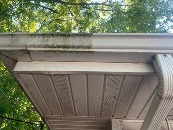 Reviewer's gutter that is white but half is covered in green gunk and the other half is clean