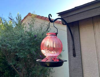 Glass hummingbird feeder hanging from a metallic hook connected a woody structure, with greenery and a location successful the background