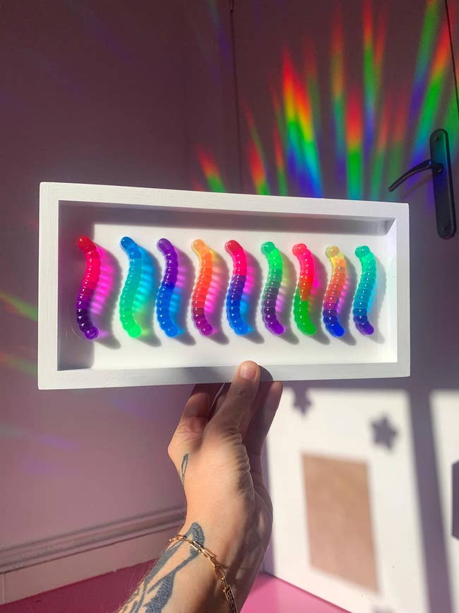 Hand holding framed show  of colorful, rainbow-themed gummy worms