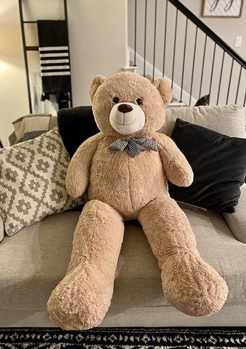 reviewer's giant teddy bear