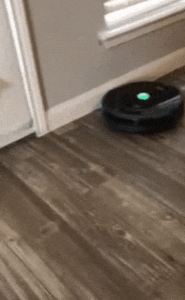reviewer's Roomba vacuuming around their house