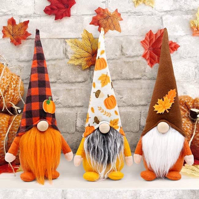 three small gnomes wearing fall themed clothing and hats