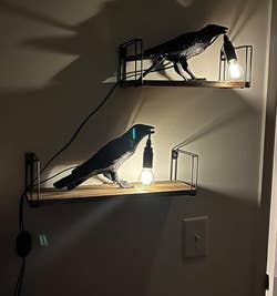 Two of the raven lights on a reviewer's shelves 