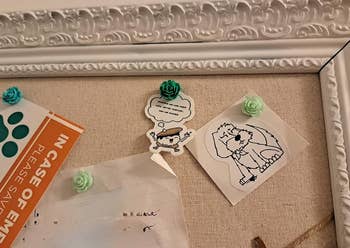 cork board with doodles and notes pinned to it with green flower-shaped pushpins
