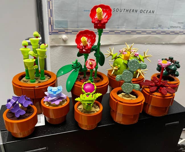 Botanical Lego set on a shelf