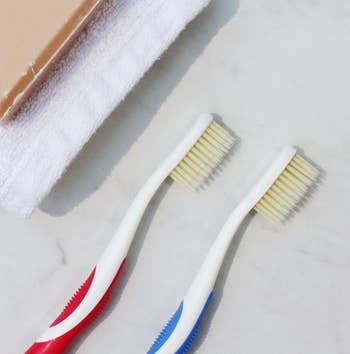 the red and blue toothbrushes 