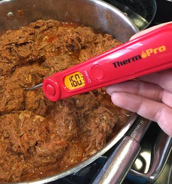 a reviewer sticking the thermometer into a big pot of pulled pork with a digital 