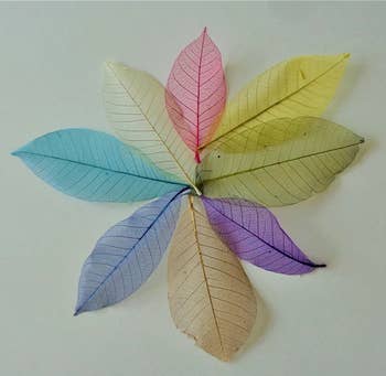 Image of different colored leaf soaps