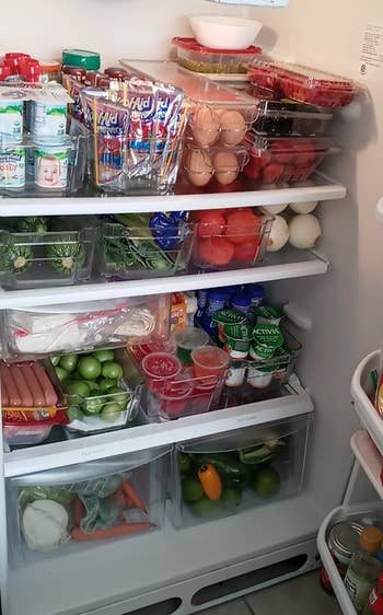 a fridge organized using the bins