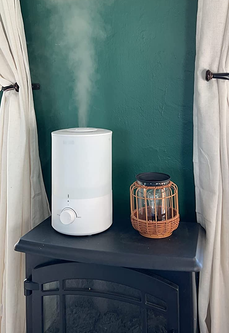 reviewer image of the humidifier