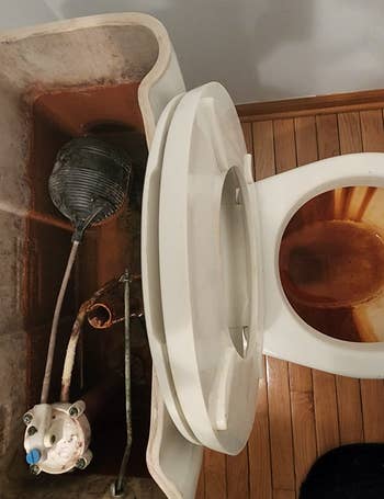 Open toilet vessel  showing interior   components including a interval  shot  and flush valve, with an unfastened  toilet vessel  beside it