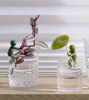 Two tiny  greenish  integrative  figures successful  glasses clasp  plants, 1  a vine and the different   a circular  leaf. Display suggests originative  works  enactment    ideas