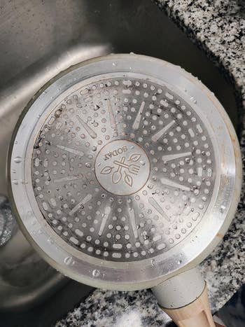Showerhead with mineral buildup, close-up view, successful  a sink. Featured successful  a buying  article
