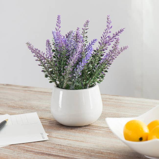 Fake lavender plant inside of mini white pot next to dish of fruit on top of wooden table