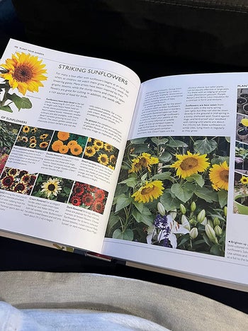 The book opened to a page on a reviewer's lap